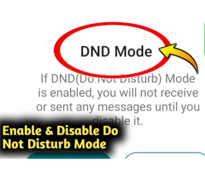 fm whatsapp DND mode