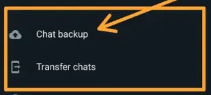 custom backup
