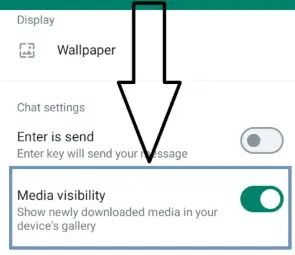 fm whatsapp hide media